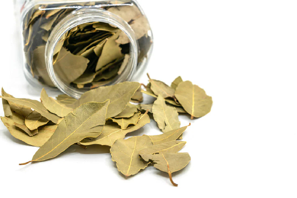 Bay Leaf Tej Patta